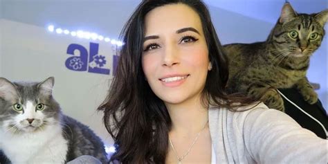 alinity cat|Twitch Gamer Alinity Accused of Animal Abuse After Throwing Her Cat